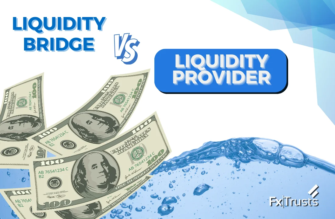 Liquidity Bridge vs Liquidity Provider: What’s the Difference?