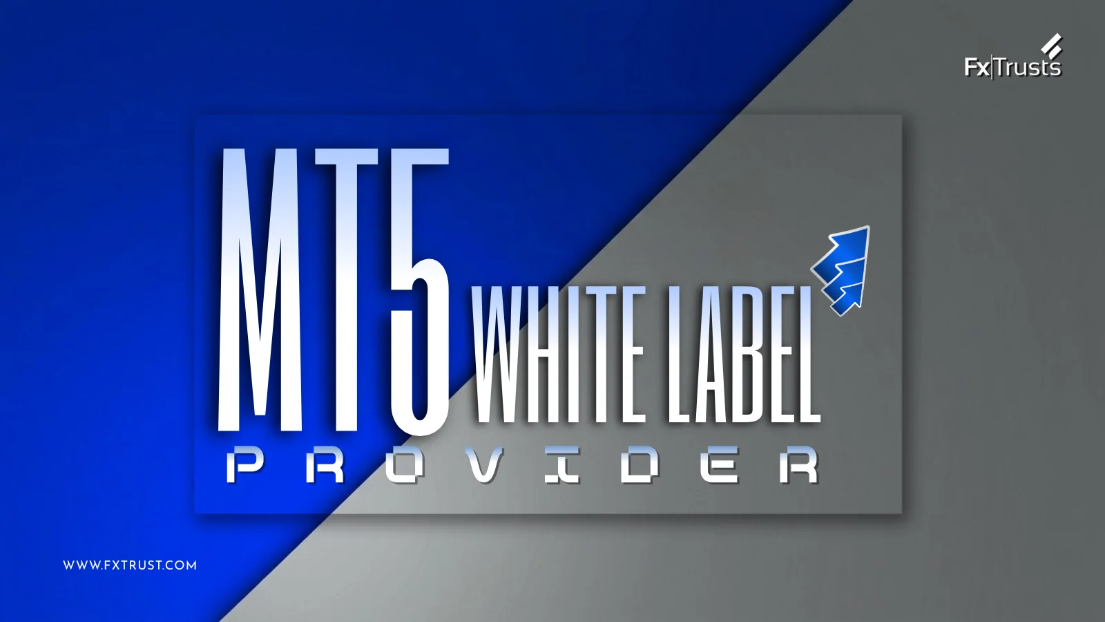 MT5 White Label Provider: Costs & Solutions for Beginners
