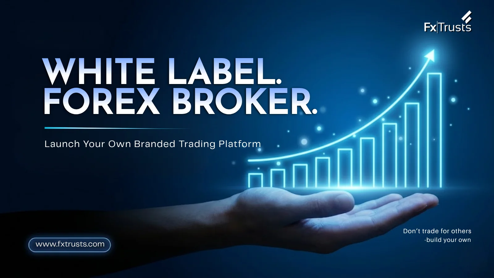 White Label Forex Broker