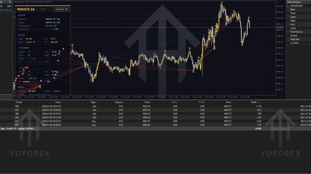 Private EA V1.1 MT5