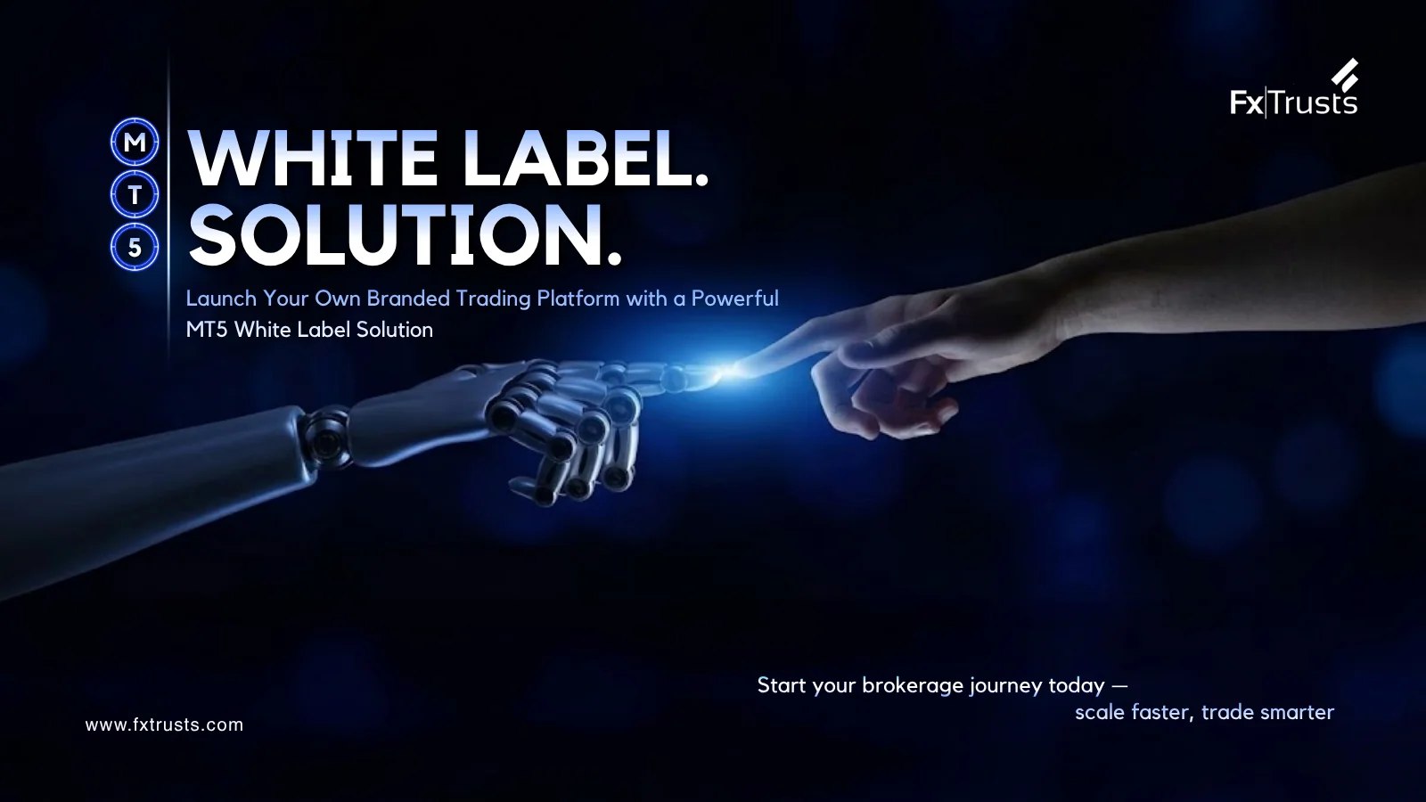MT5 White Label Solutions