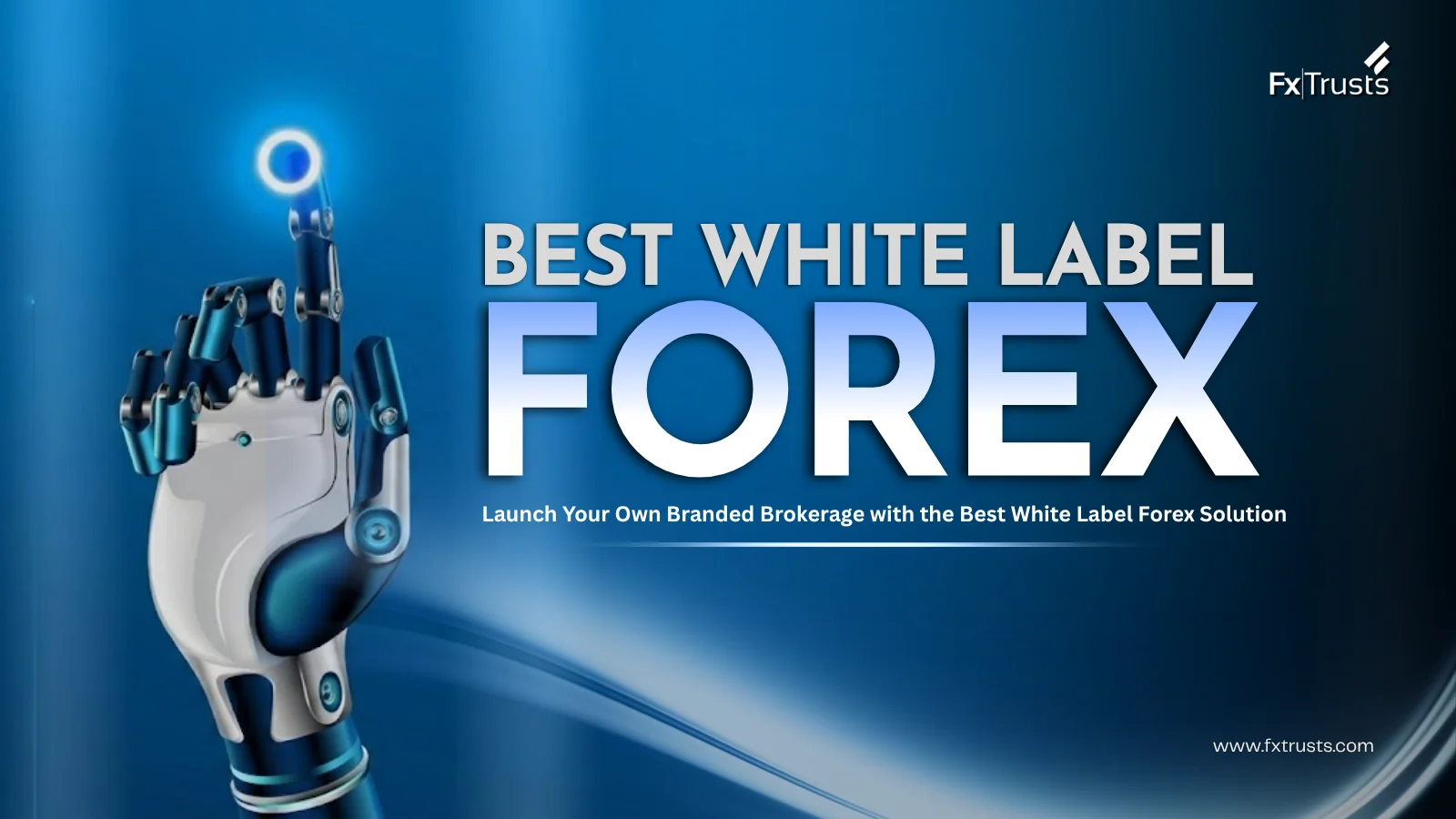 Best Forex White Label Solutions