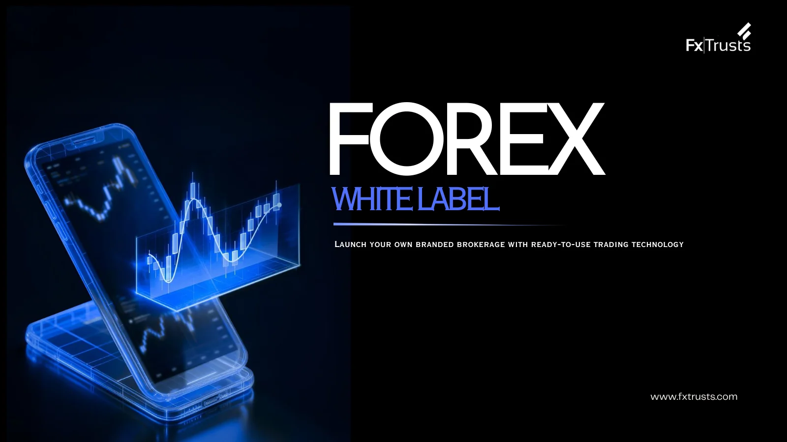 Forex White Label : Guide
