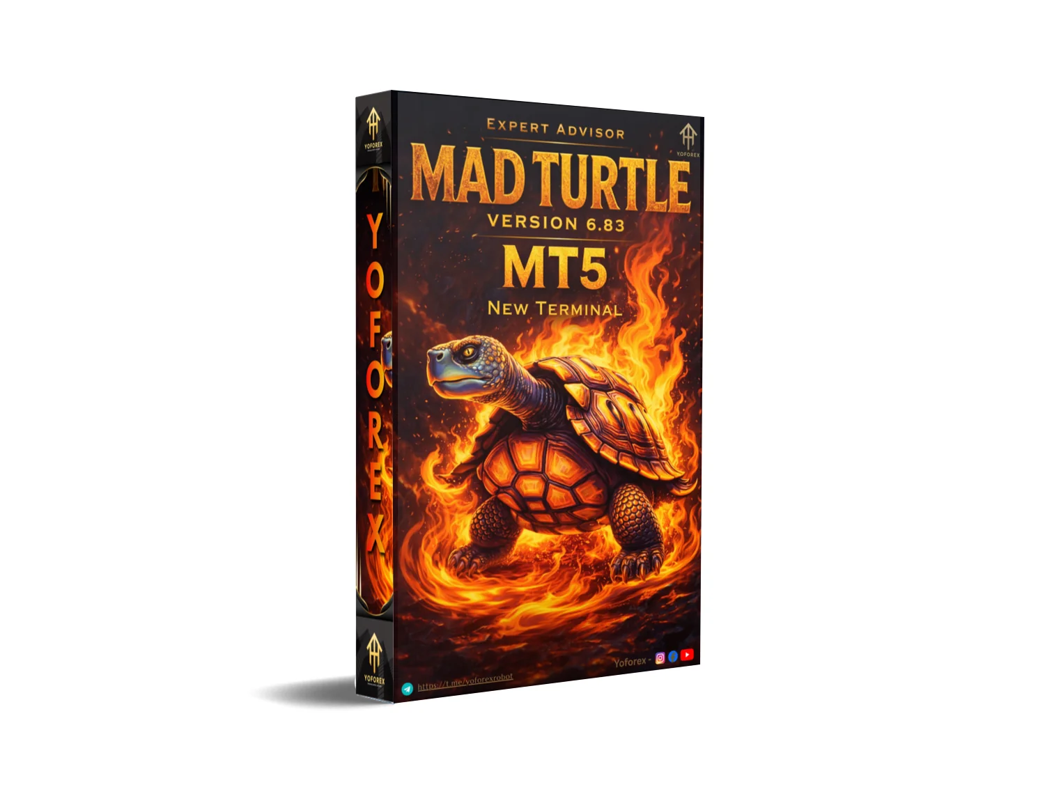 Explode Your Forex Profits: Mad Turtle MT5 Review That Demands Attention!