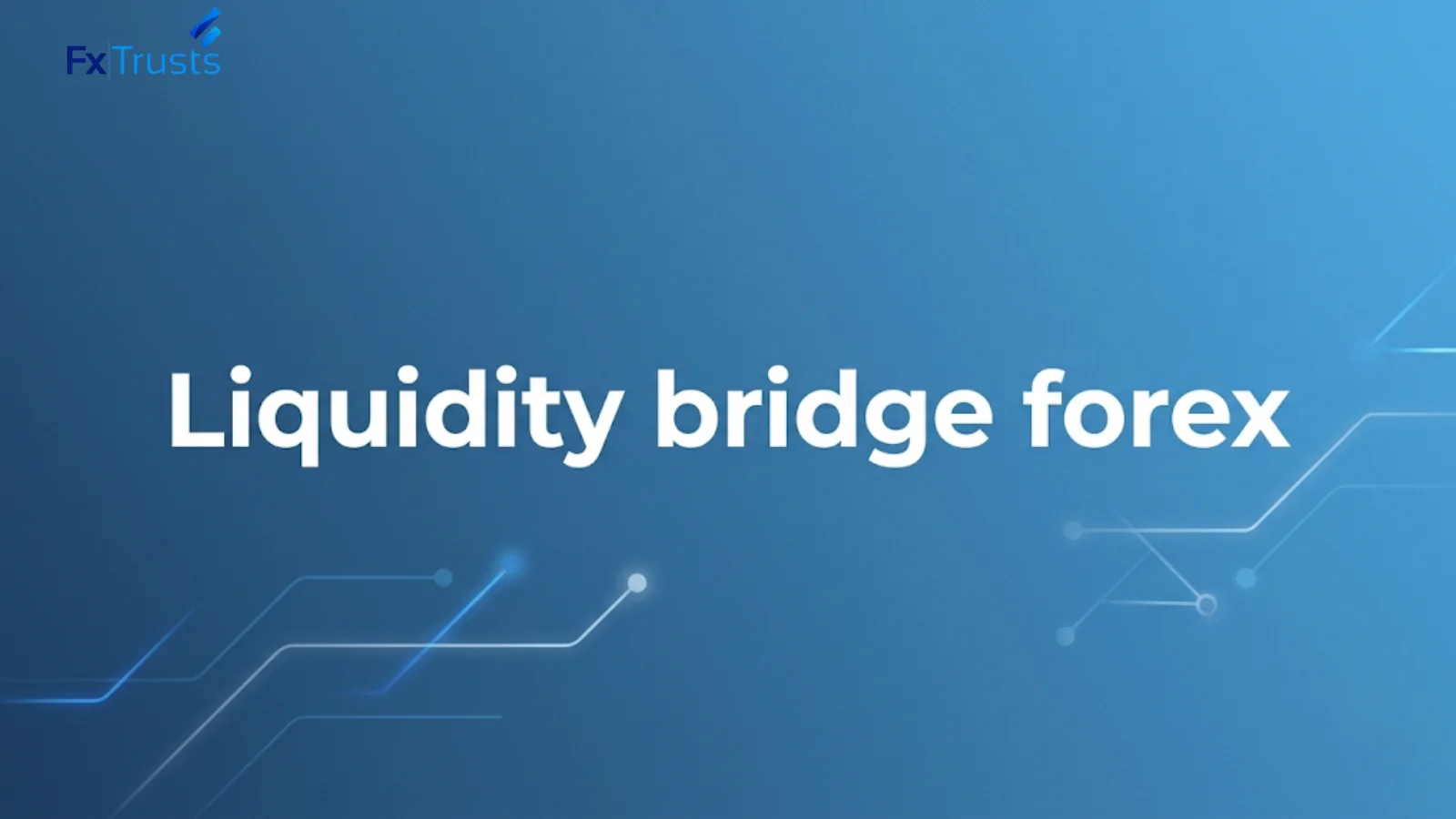 Liquidity Bridge Providers