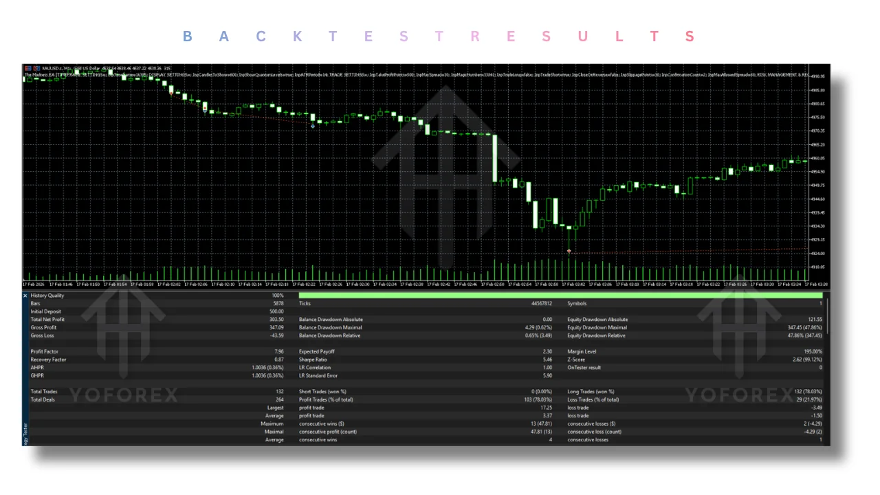 The Madness EA V2.2 MT5