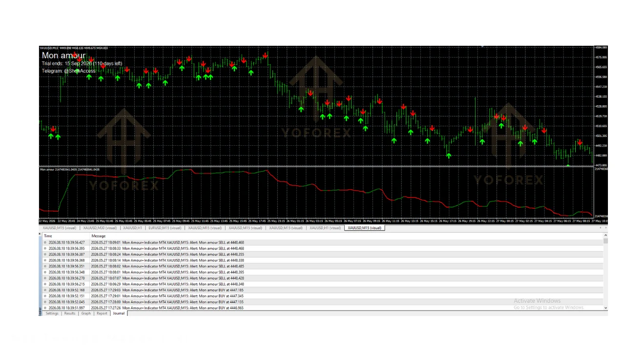 hero: MetaTrader 4 chart interface showing a custom technical indicator overlay for visual signal analysis on price action