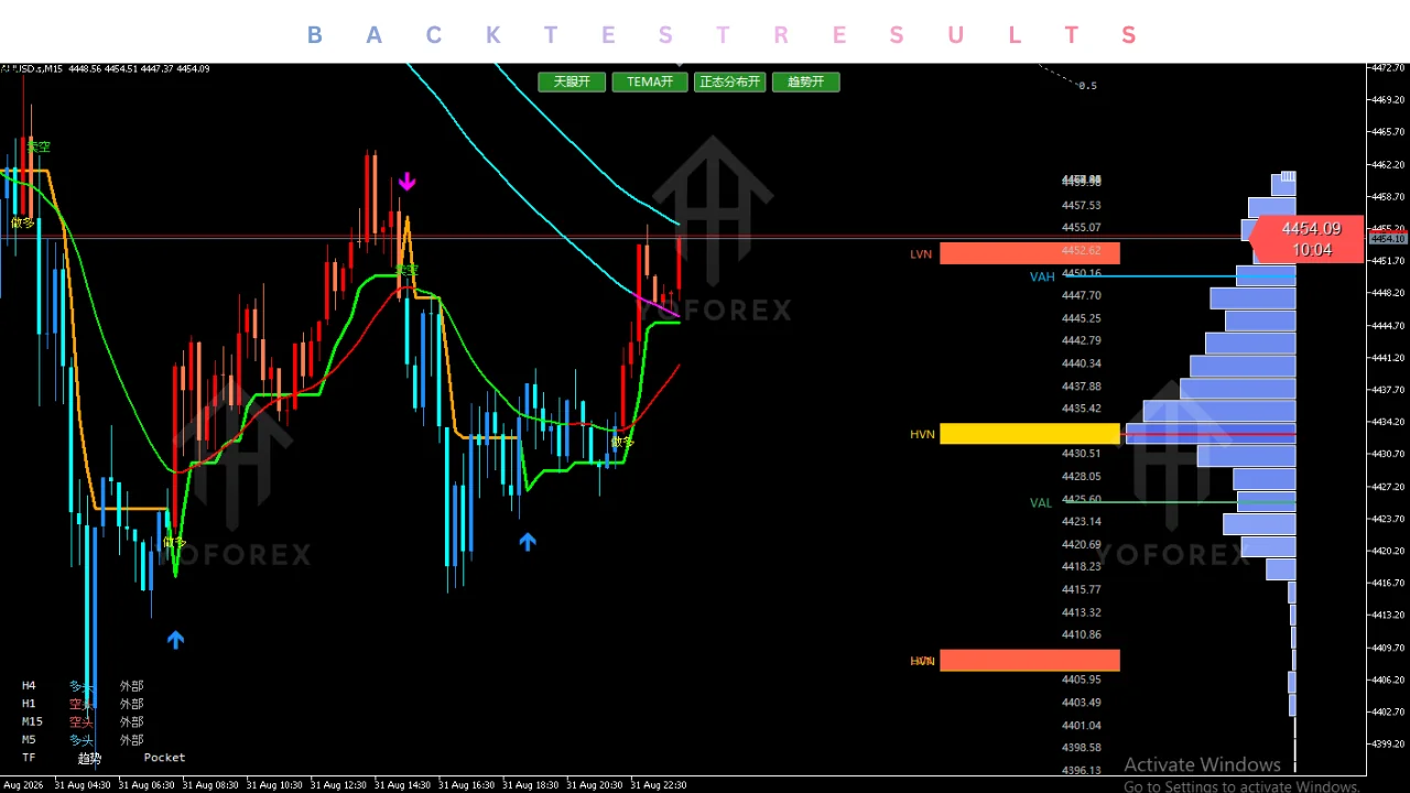 tianyan indicator v1.00 MT5: practical guide for informational searches illustration
