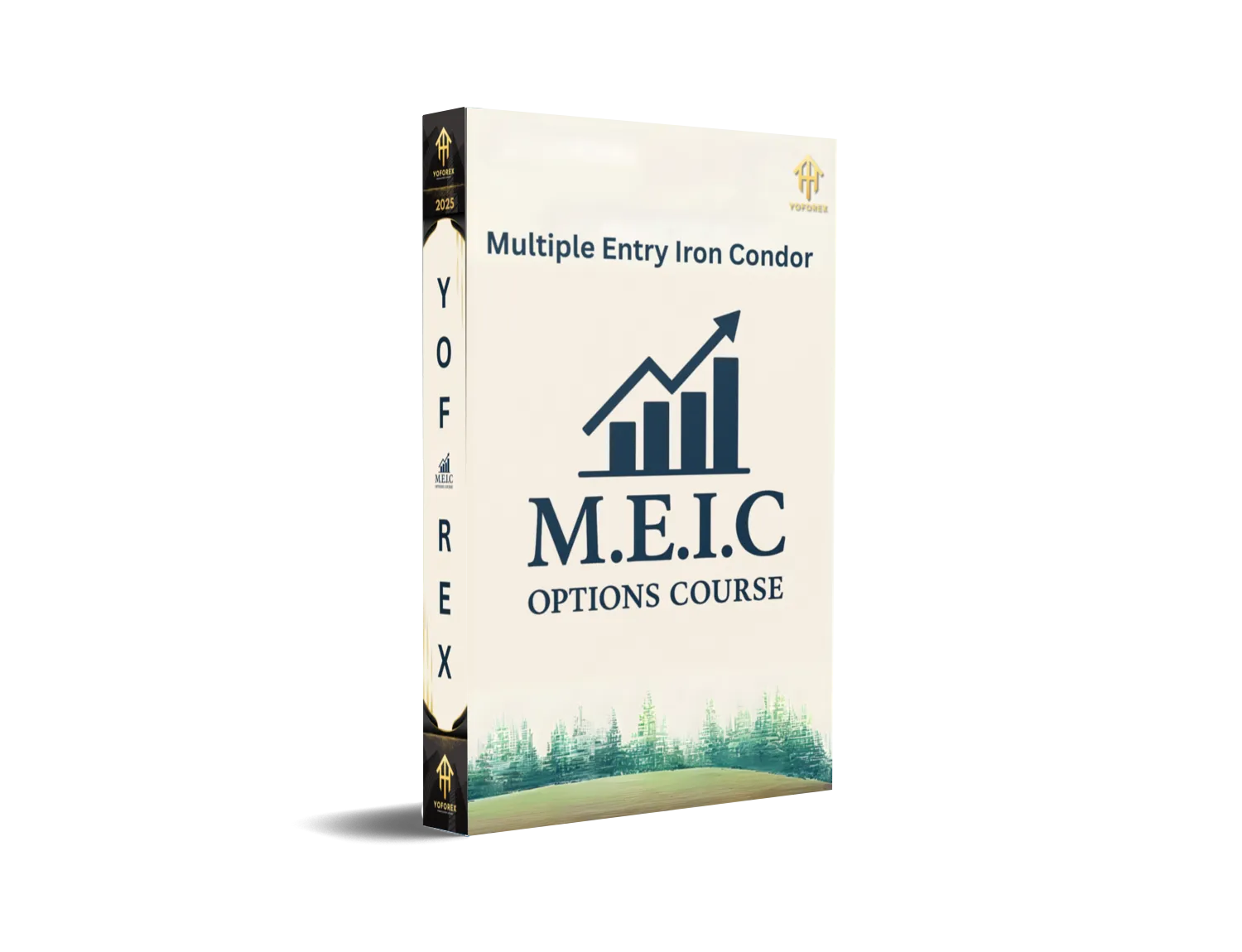 M.E.I.C Options Course
