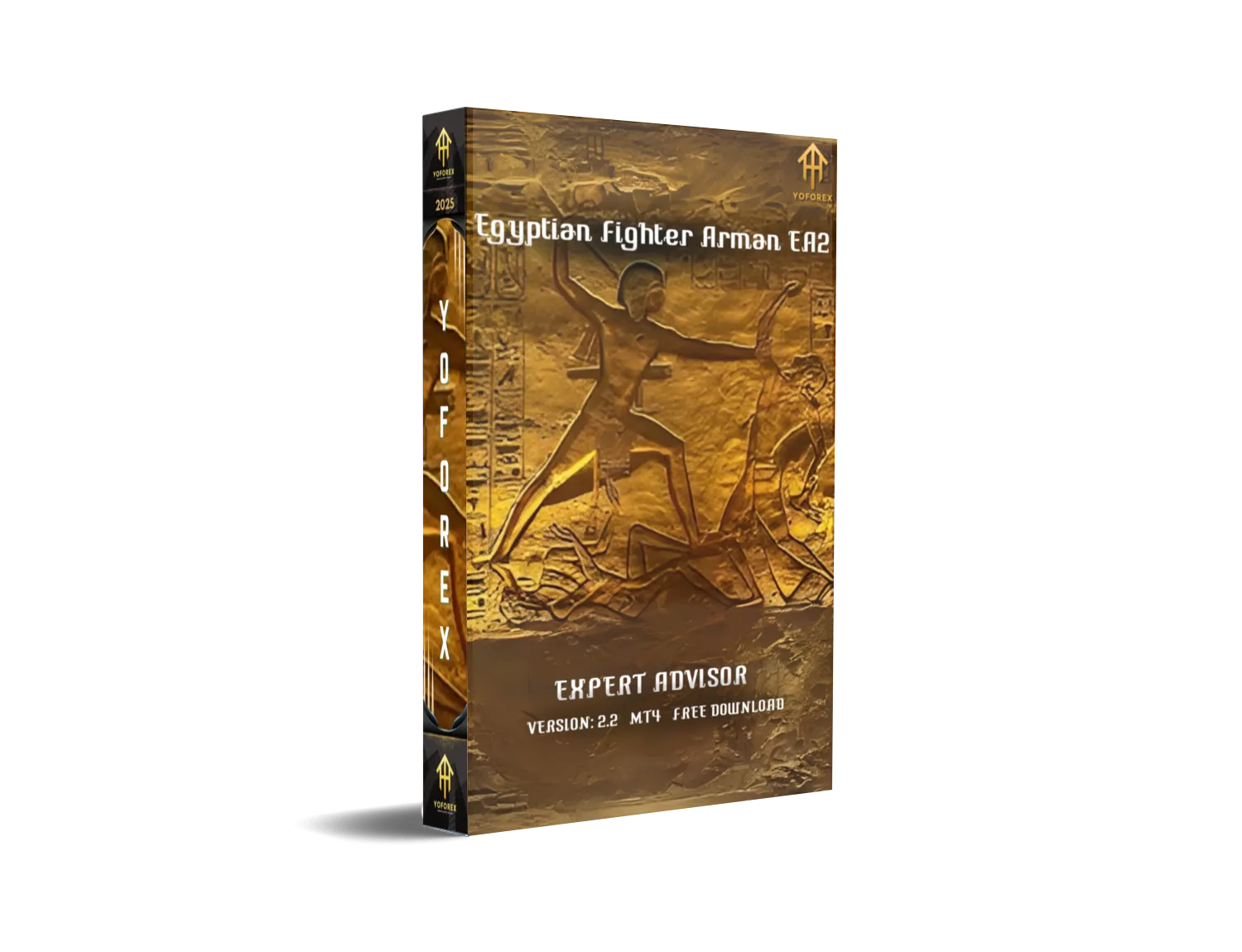 Egyptian Fighter Arman EA2 V2.2 MT4
